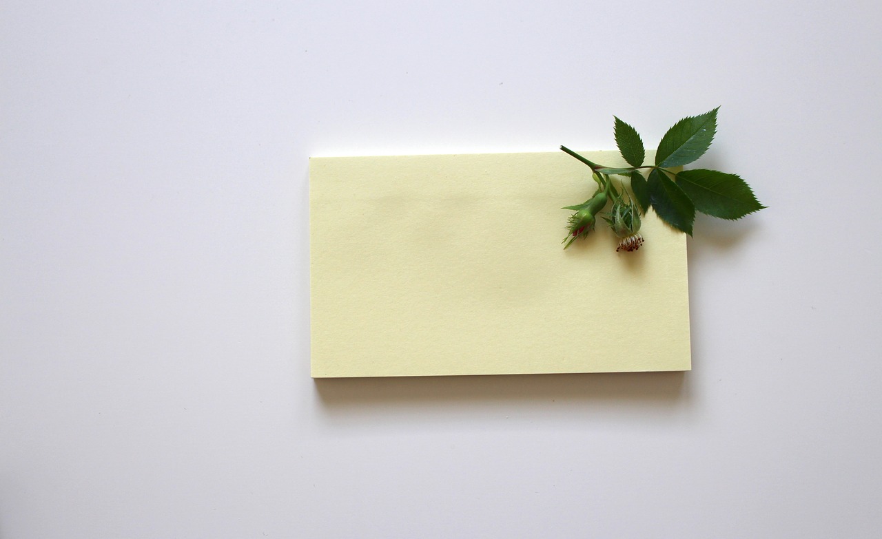 Tyhjän muistipaperin päällä ruusun lehtiä.