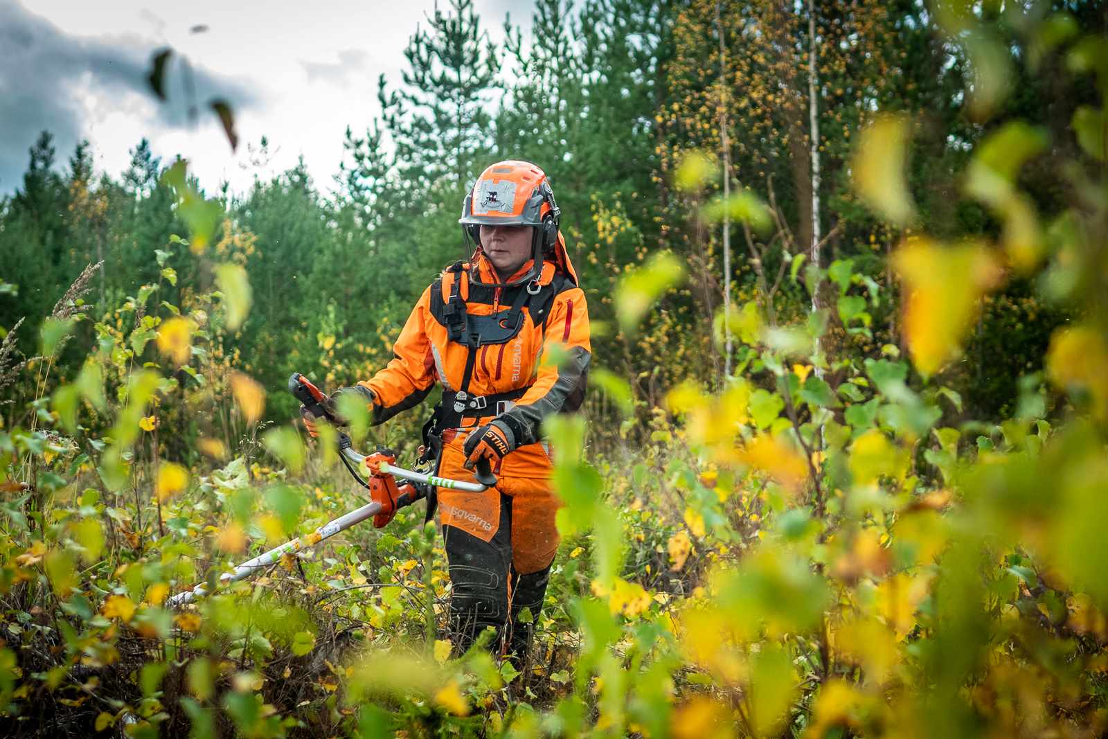 Henkilö hoitamassa taimikkoa metsässä pukeutuneena asianmukaisesti.