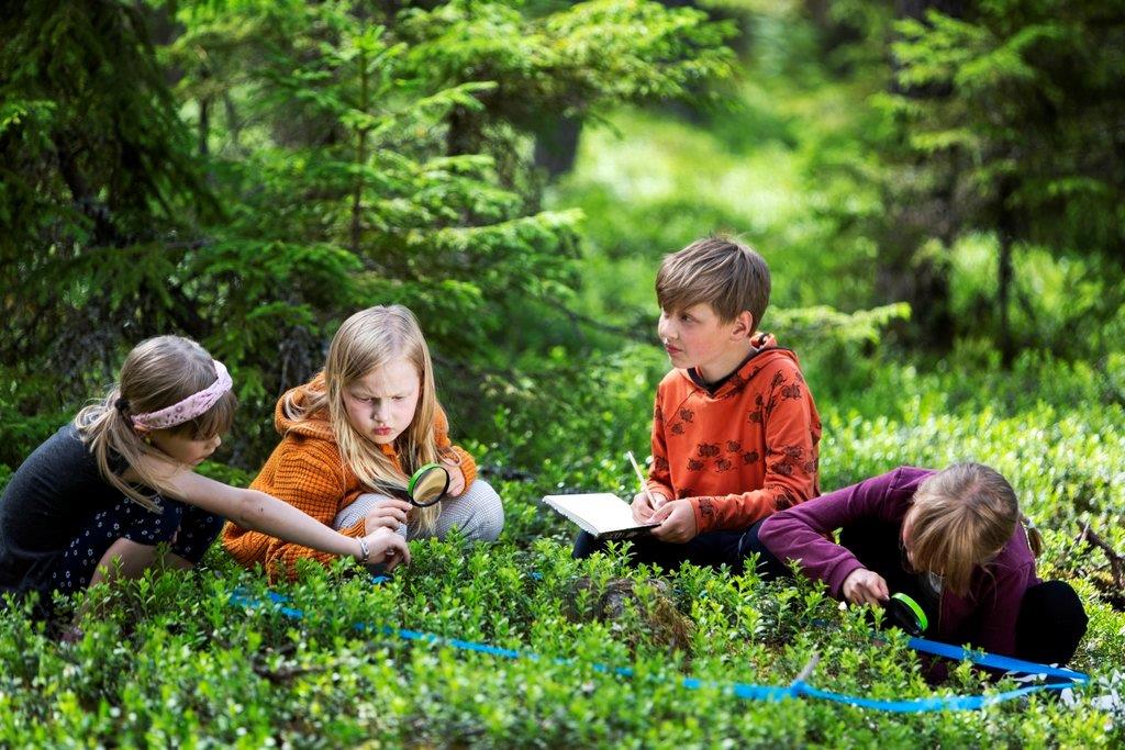 Neljä lasta tutkii metsää istuen. Yhdellä on suurennuslasi. Yksi tekee muistiinpanoja vihkoon.