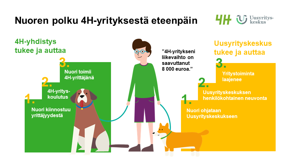 Infograafi. Otsikko: Nuoren polku 4H-yrityksestä eteenpäin. 4H:n ja Uusyrityskeskusten logot. Vihreässä porraskuviossa teksti: 4H-yhdistys tukee ja auttaa. 1. Nuori kiinnostuu yrittäjyydestä. 2. 4H-yrityskoulutus. 3. Nuori toimii 4H-yrittäjänä. Koiria taluttava piirroshahmo ”4H-yritykseni liikevaihto on saavuttanut 8000 euroa”. Oranssissa porraskuviossa teksti: Uusyrityskeskus tukee ja auttaa. 1. Nuori ohjataan Uusyrityskeskukseen. 2. Uusyrityskeskuksen henkilökohtainen neuvonta. 3. Yritystoiminta laajenee.